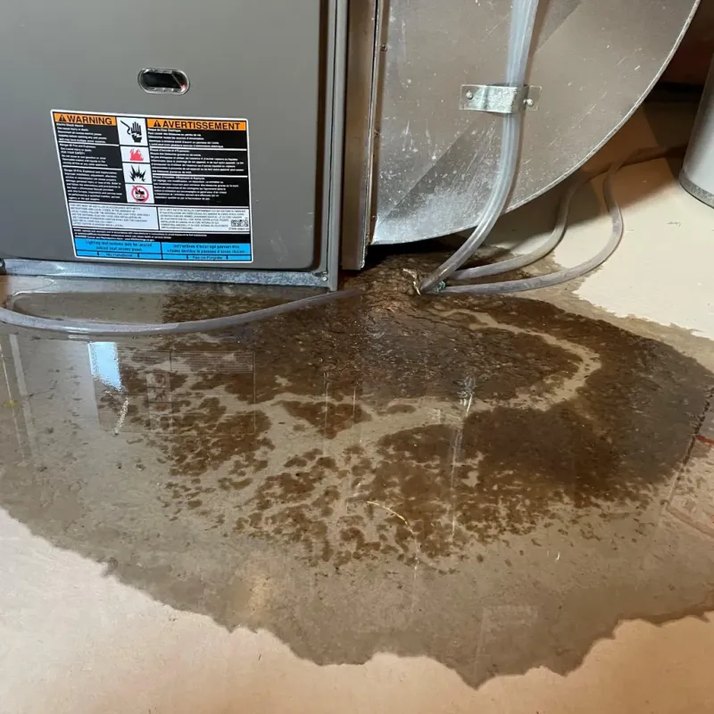 Appliance Leak Cleanup in Stanton, CA