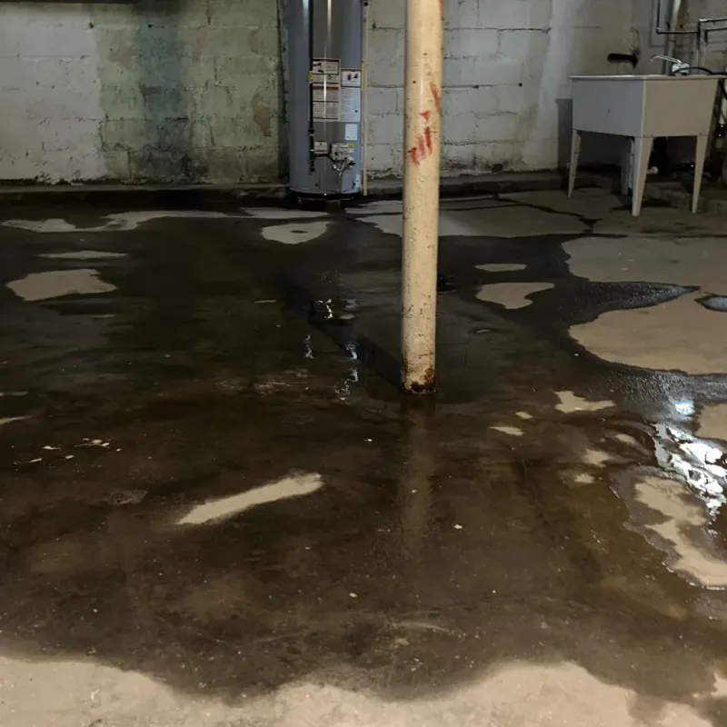 Emergency Water Extraction And Removal in Stanton, CA
